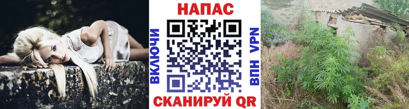 Канабис индика  дарнет шоп  Североморск 